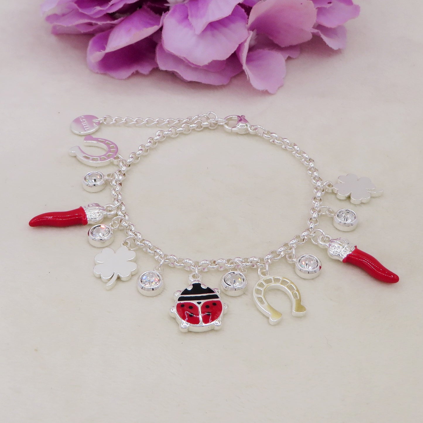 GOOD LUCK bagnato ARGENTO ~ Bracciale in ACCIAIO INOSSIDABILE con charms Portafortuna