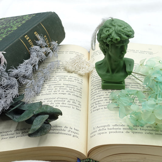 David~ Scented Soy Wax candle