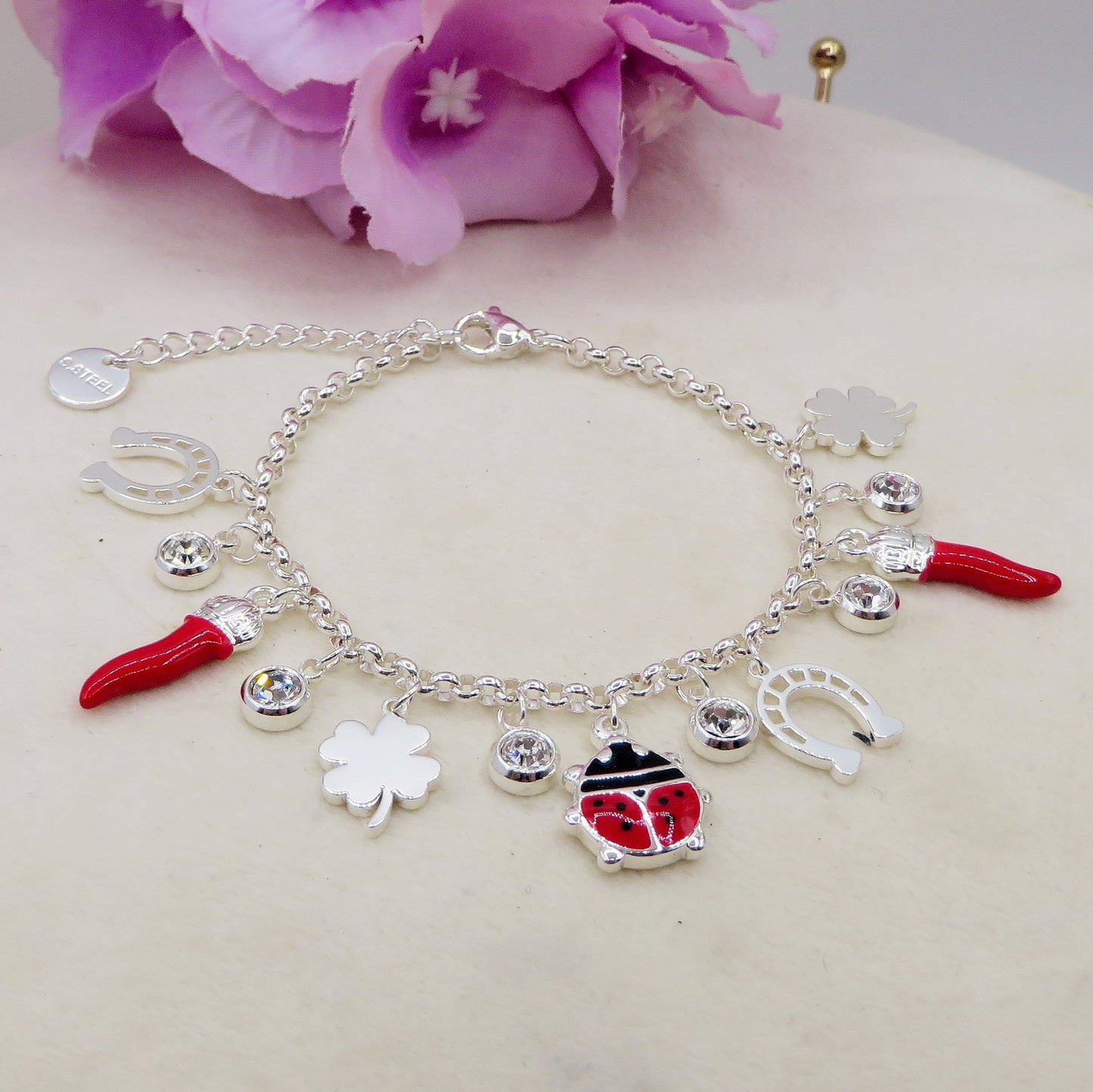GOOD LUCK bagnato ARGENTO ~ Bracciale in ACCIAIO INOSSIDABILE con charms Portafortuna