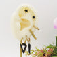 EVELYN Lucky COLOURS Set 6 orecchini - ACCIAIO INOSSIDABILE - 6 Orecchini pendenti fortunati con cubic zirconia
