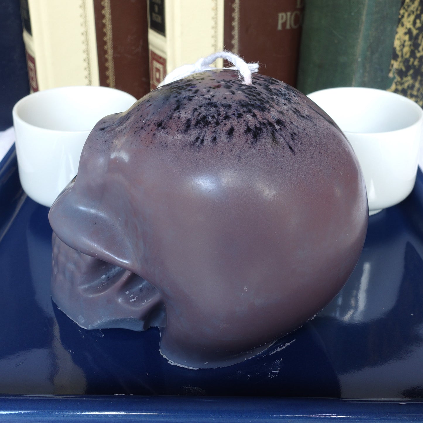 Skull~ Scented Soy Wax candle
